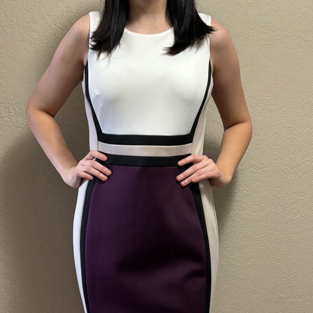 NWT - Calvin Klein Size 12 Plum, White and Tan